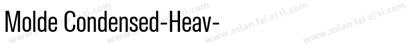 Molde Condensed-Heav字体转换